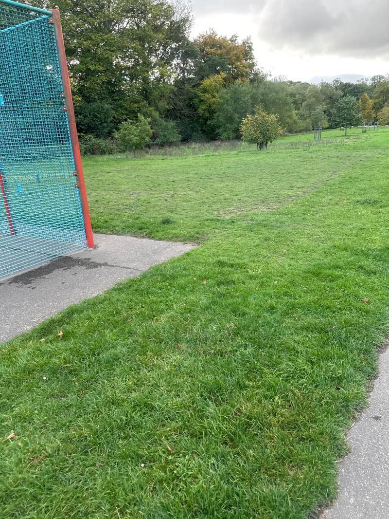 walking near me in Woodrow Pilling Park in autumn