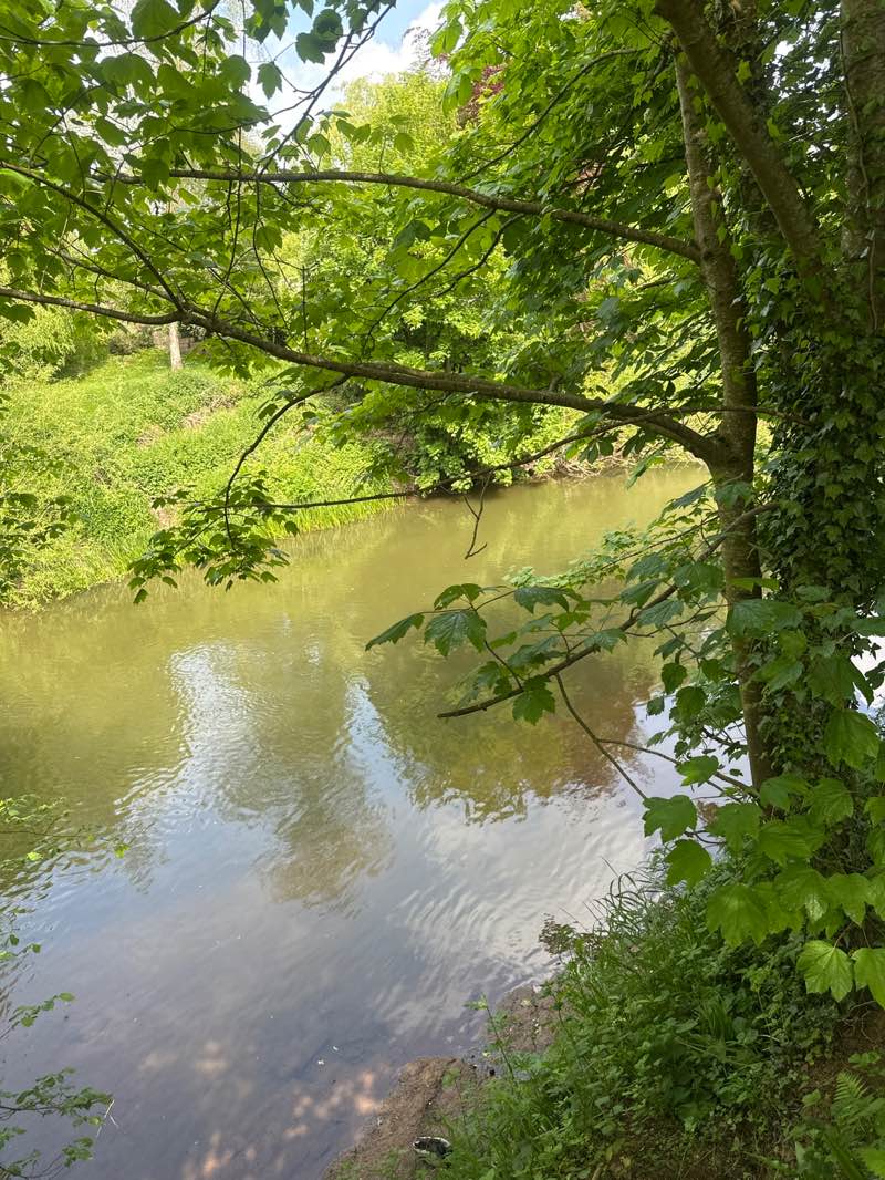 walking near me in The Burgage Recreation Ground in spring