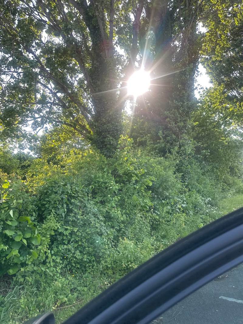 walking near me in Coney Hill Park in spring