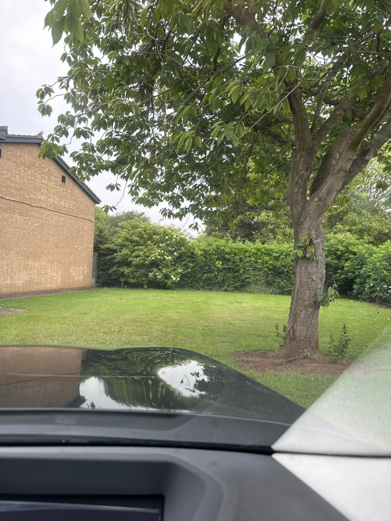 walking near me in Everest Road Playing Fields in summer