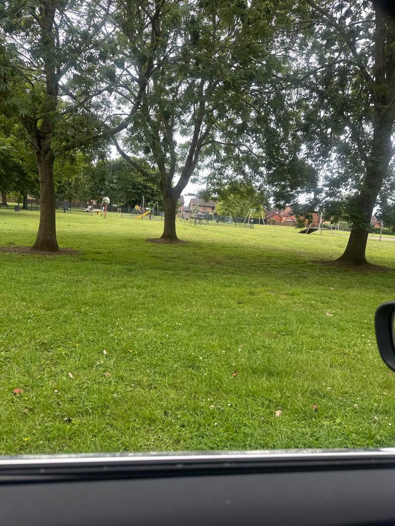 walking near me in Chancel Park in summer
