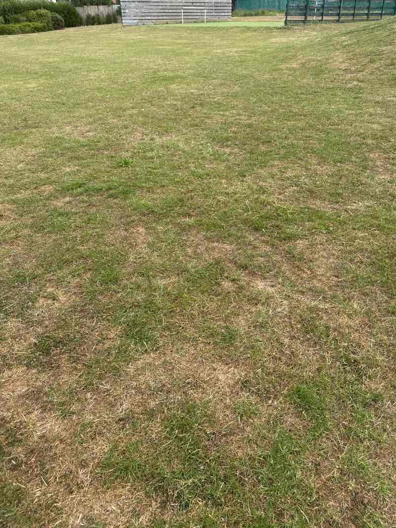 walking near me in Jubilee Gardens in summer