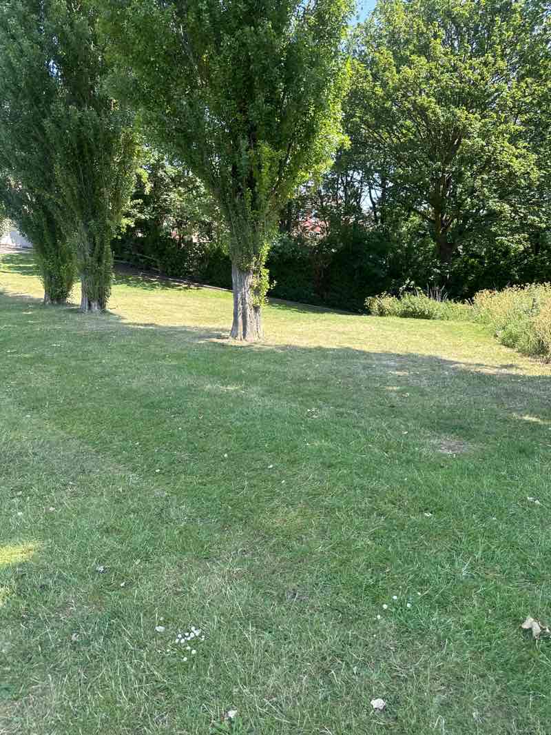 walking near me in Coronation Park in summer