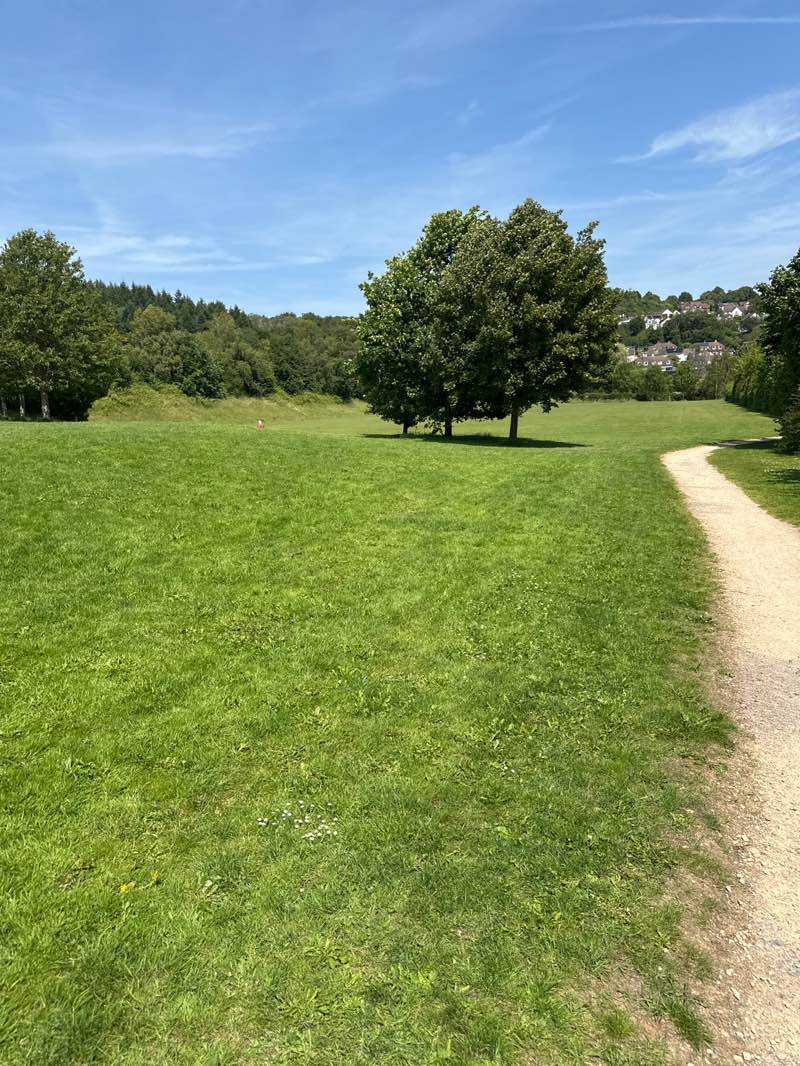 walking near me in Peel Park in summer