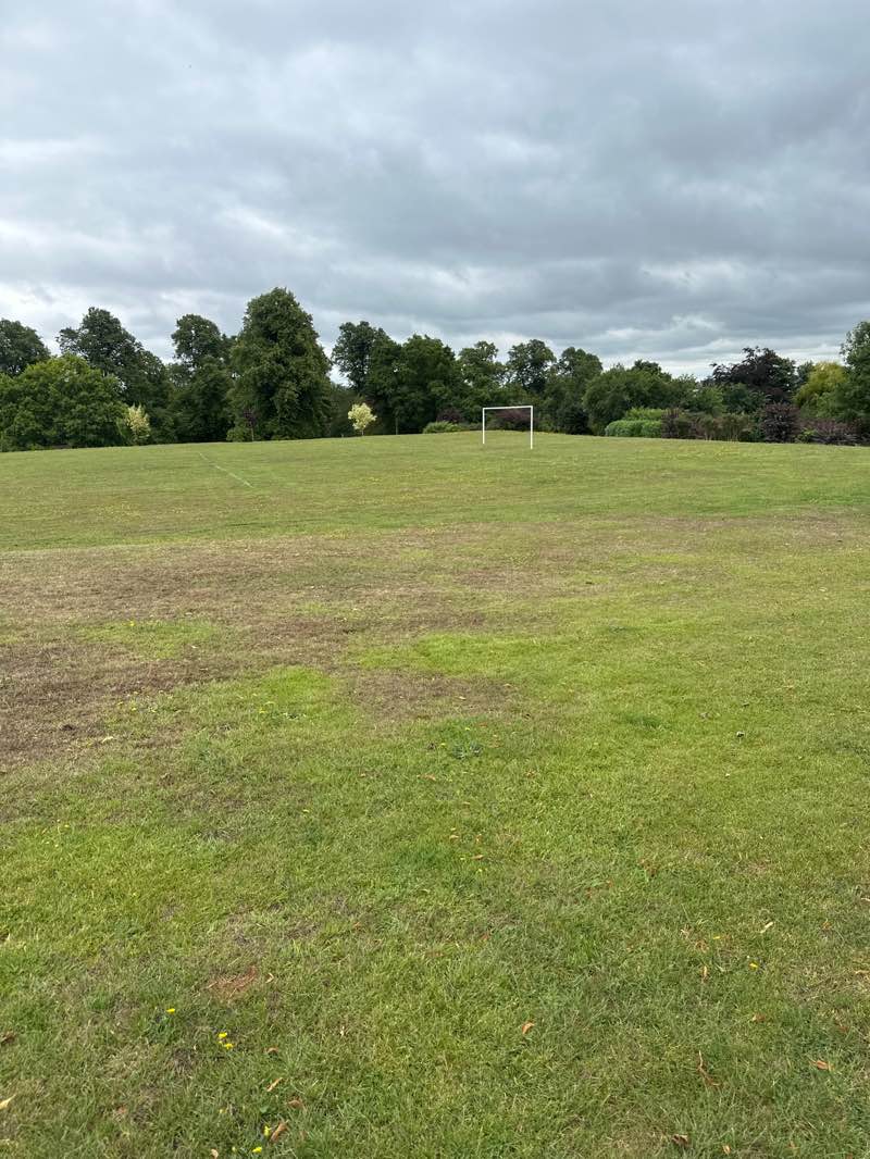walking near me in Jubilee Park in autumn