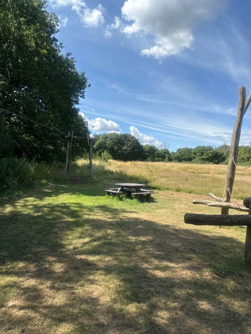 walking near me in Brookside in summer