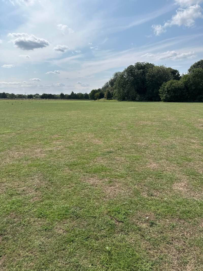 walking near me in Allan Barker Playing Fields in autumn