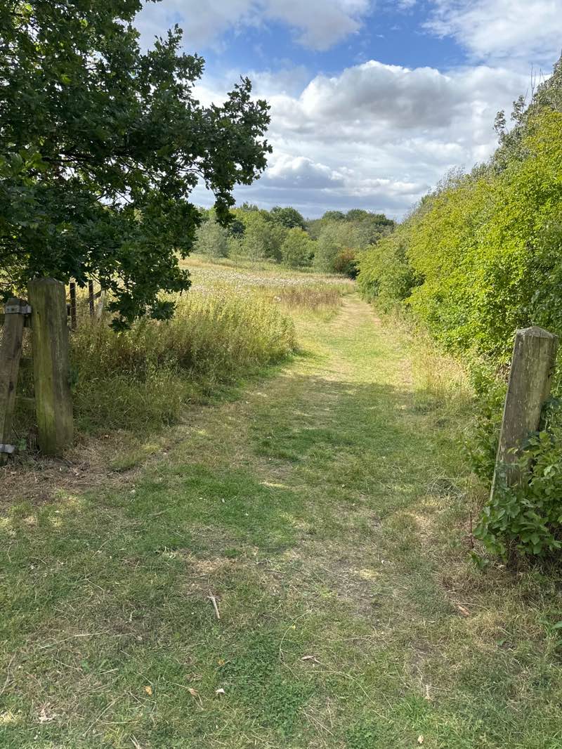 walking near me in Tow Law Millennium Green in autumn