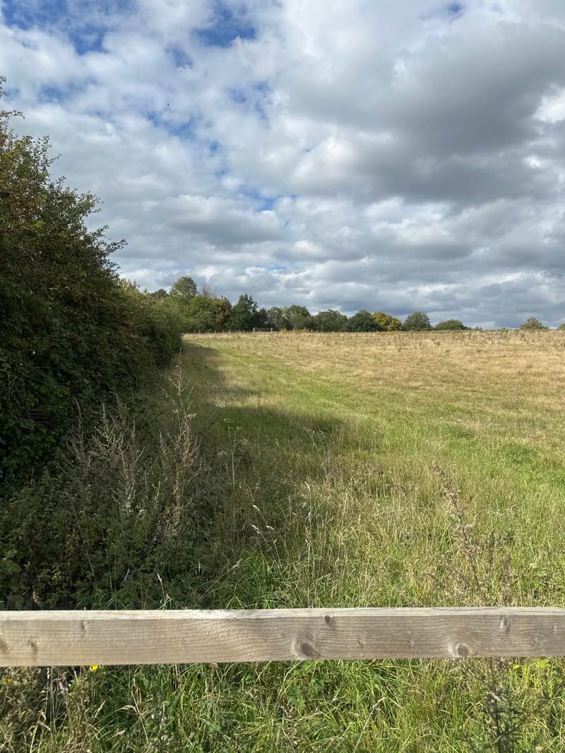 walking near me in Crawley Park in autumn