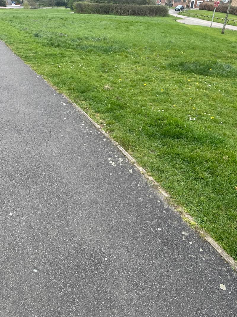 walking near me in Coton Park Community Park in spring