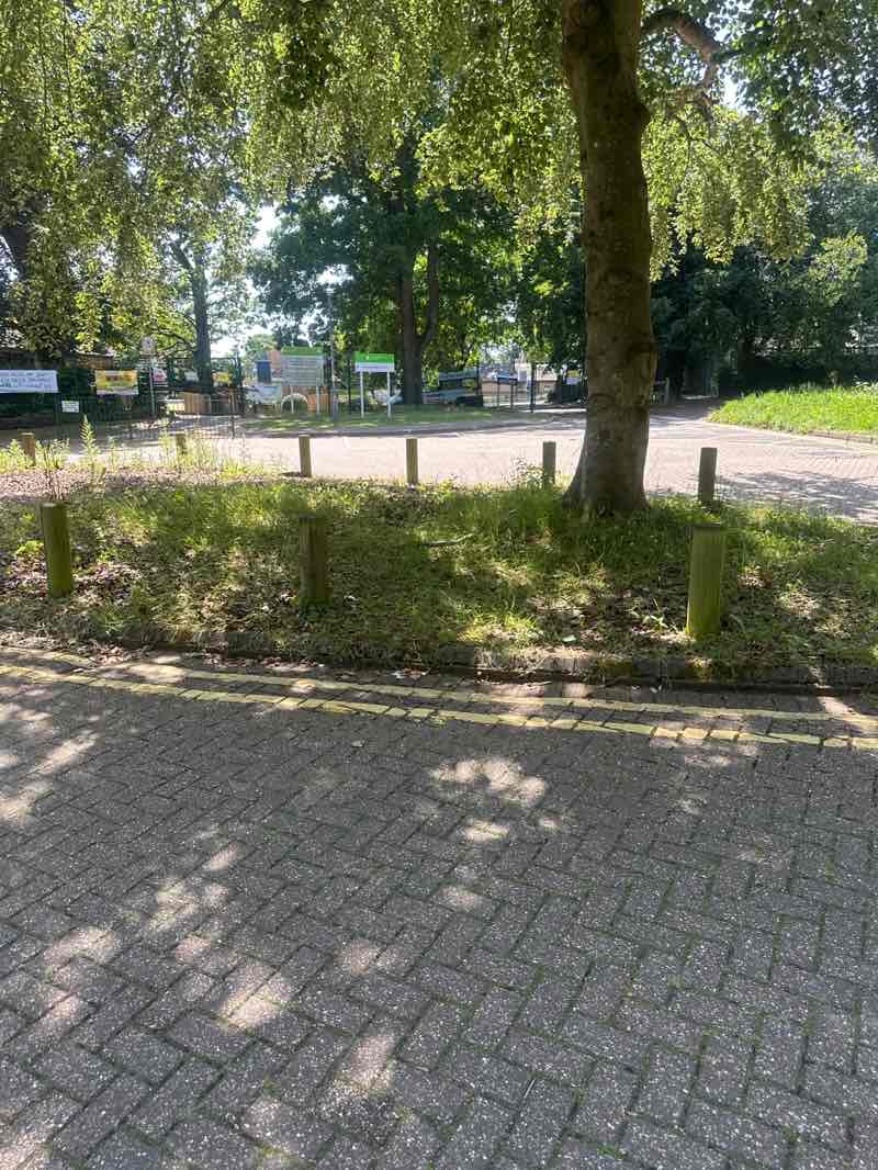 walking near me in Drybridge Park in summer