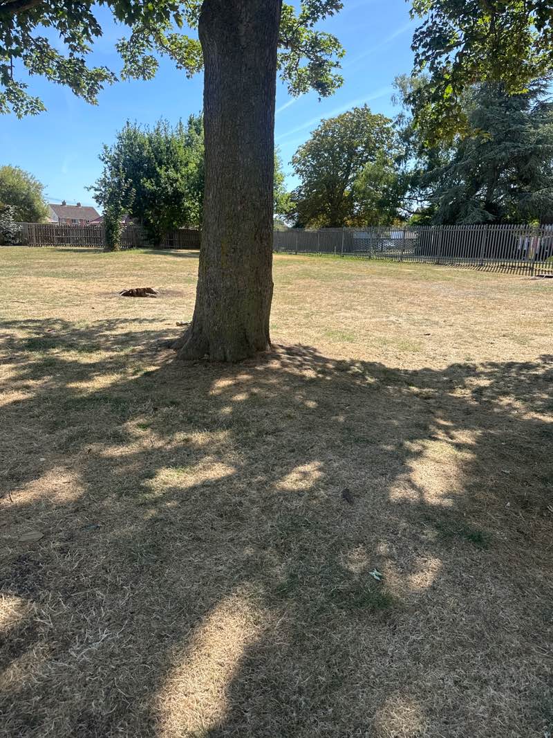 walking near me in Alma Avenue Play Area in summer