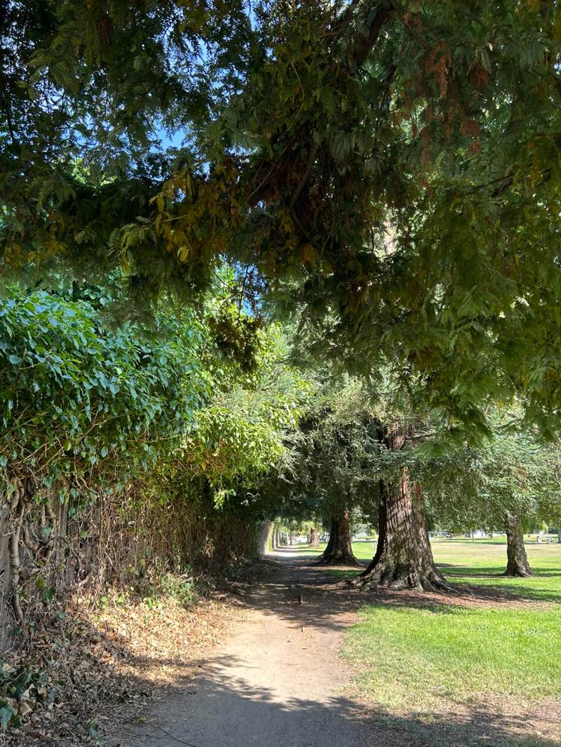 walking near me in Henry Schmidt Park in autumn
