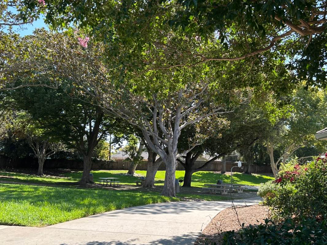 walking near me in Everett Alvarez, Jr. Park in autumn