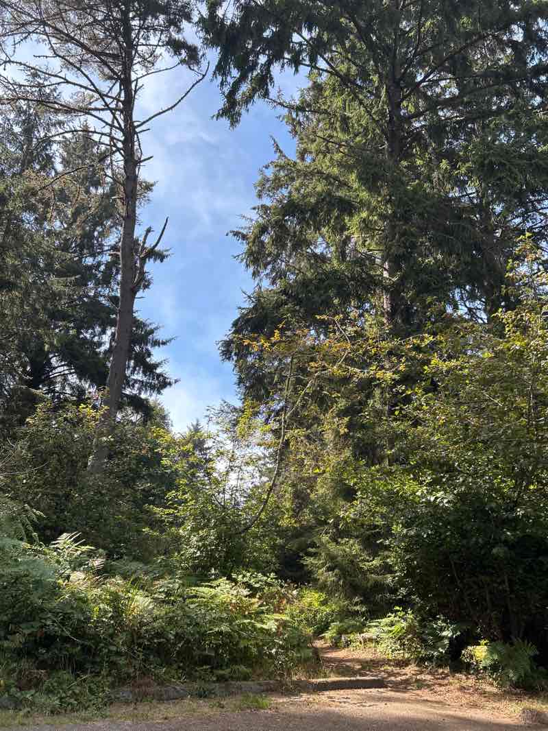 walking near me in Sue-meg State Park in autumn