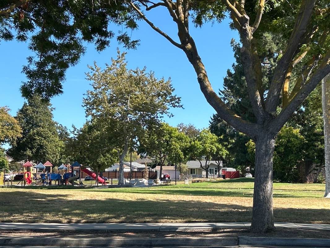 walking near me in Fremont Park in autumn
