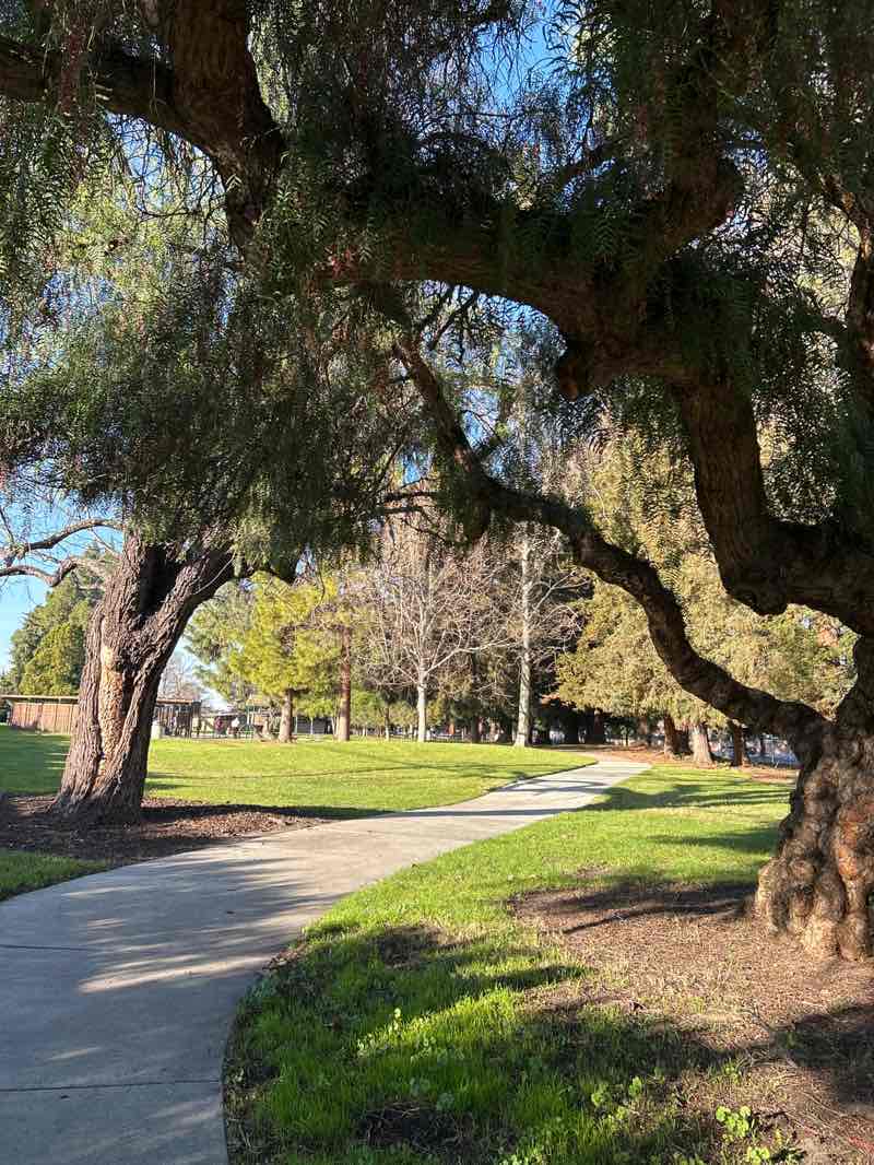 walking near me in Mary Gomez Park in winter