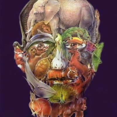 Free Strides paula post image