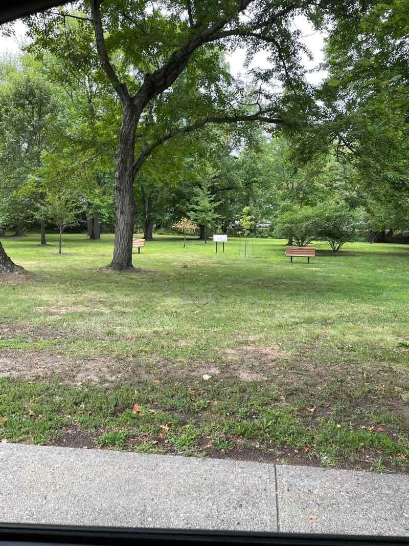 walking near me in Fair Lawn Arboretum & Bird Sanctuary (Park) in autumn
