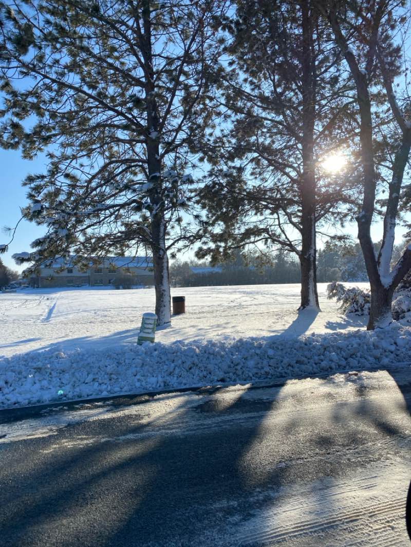 walking near me in Manor Park in autumn