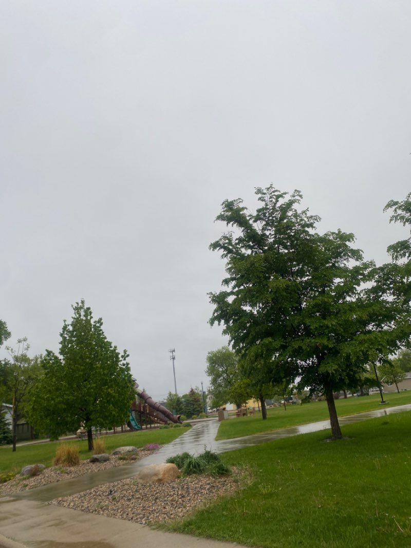 walking near me in Central Park in spring