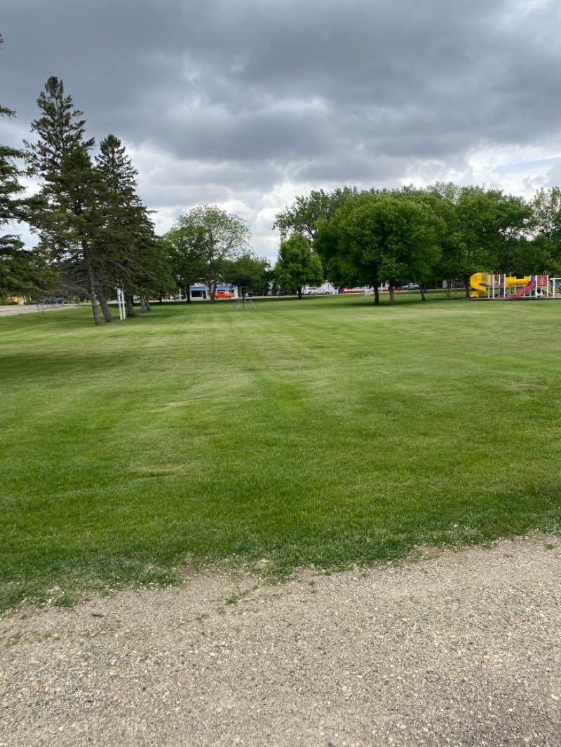 walking near me in Hockenberry Park in spring