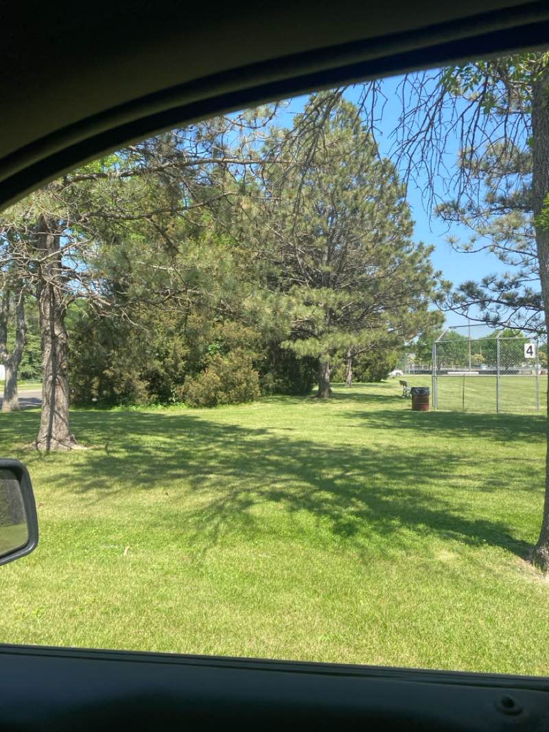 walking near me in Manor Park in summer