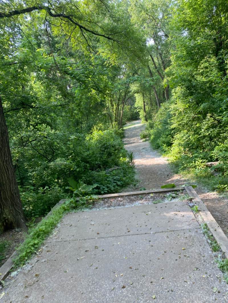 walking near me in Kaposia Park in summer