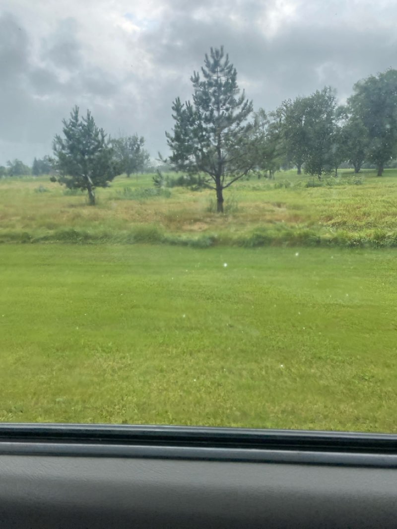 walking near me in Lee Park in summer