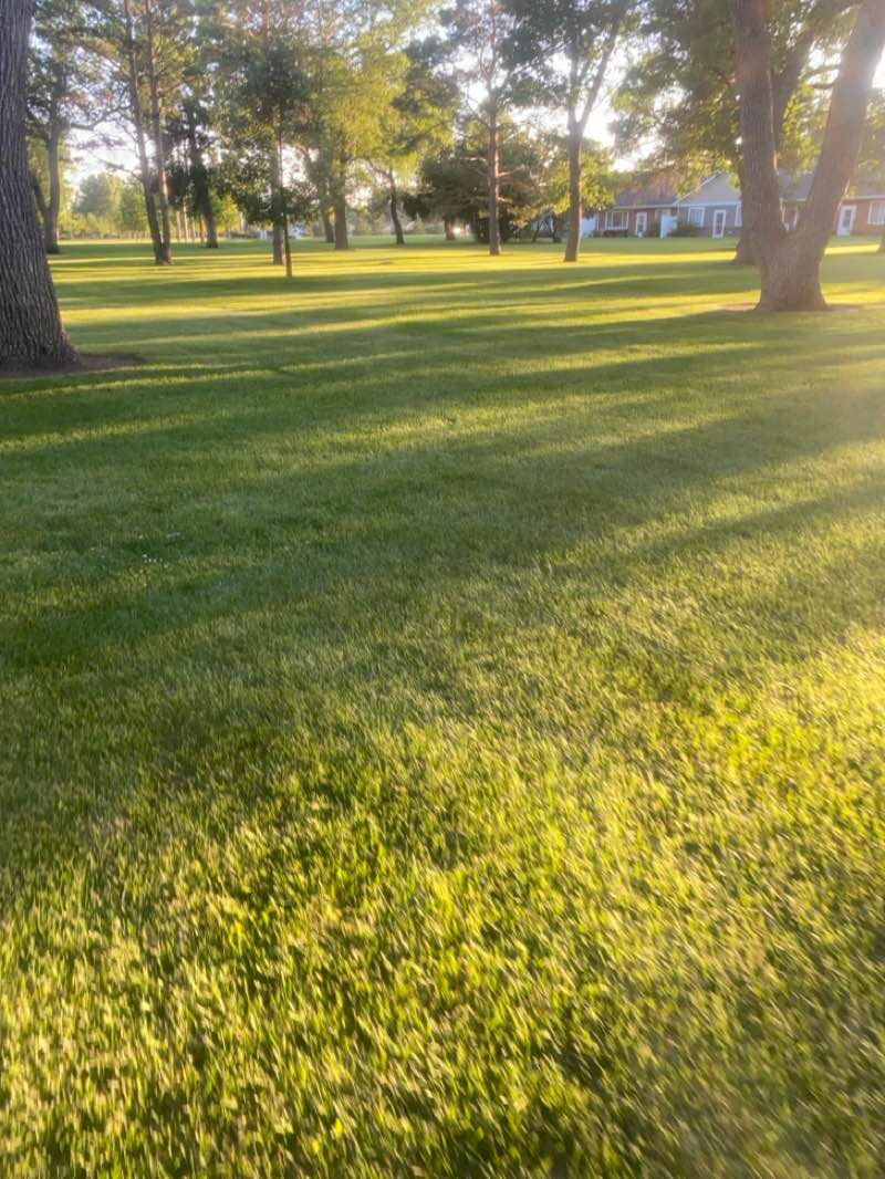 walking near me in Melgaard Park in summer
