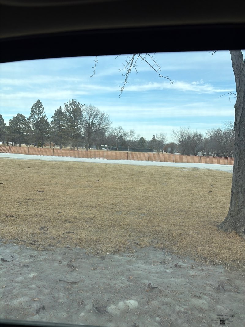 walking near me in Manor Park in winter