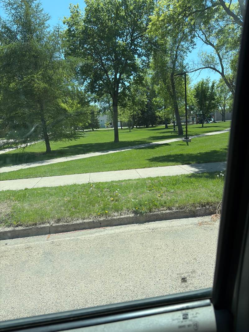 walking near me in Aldrich Park in summer