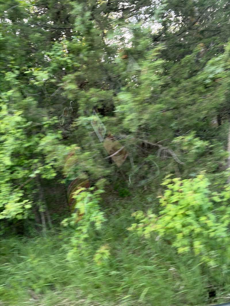 walking near me in Richmond Lake Recreation Area  (North) in summer
