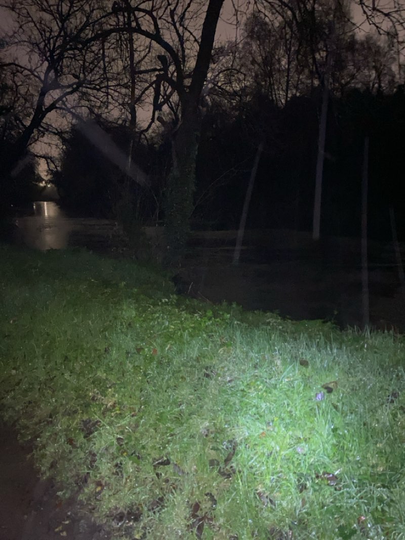 walking near me in Barnett Demesne in autumn