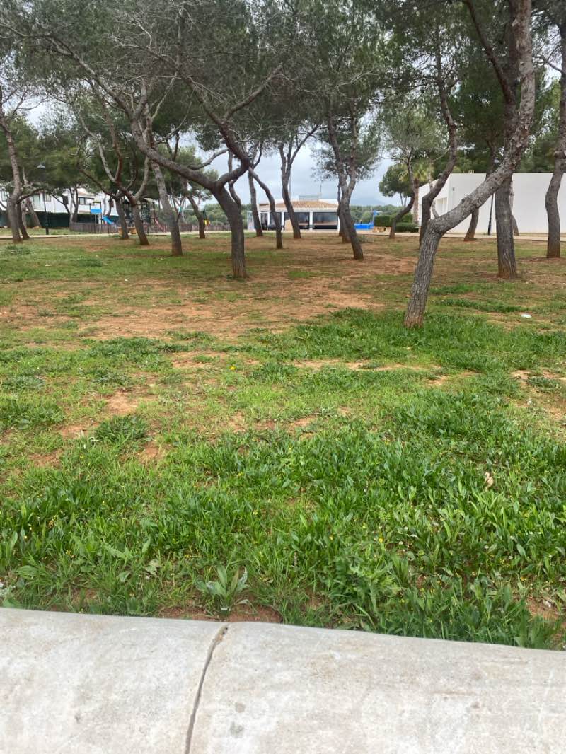 walking near me in plaça del Pinar in spring