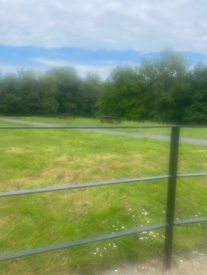 walking near me in Crawfordsburn Country Park in spring