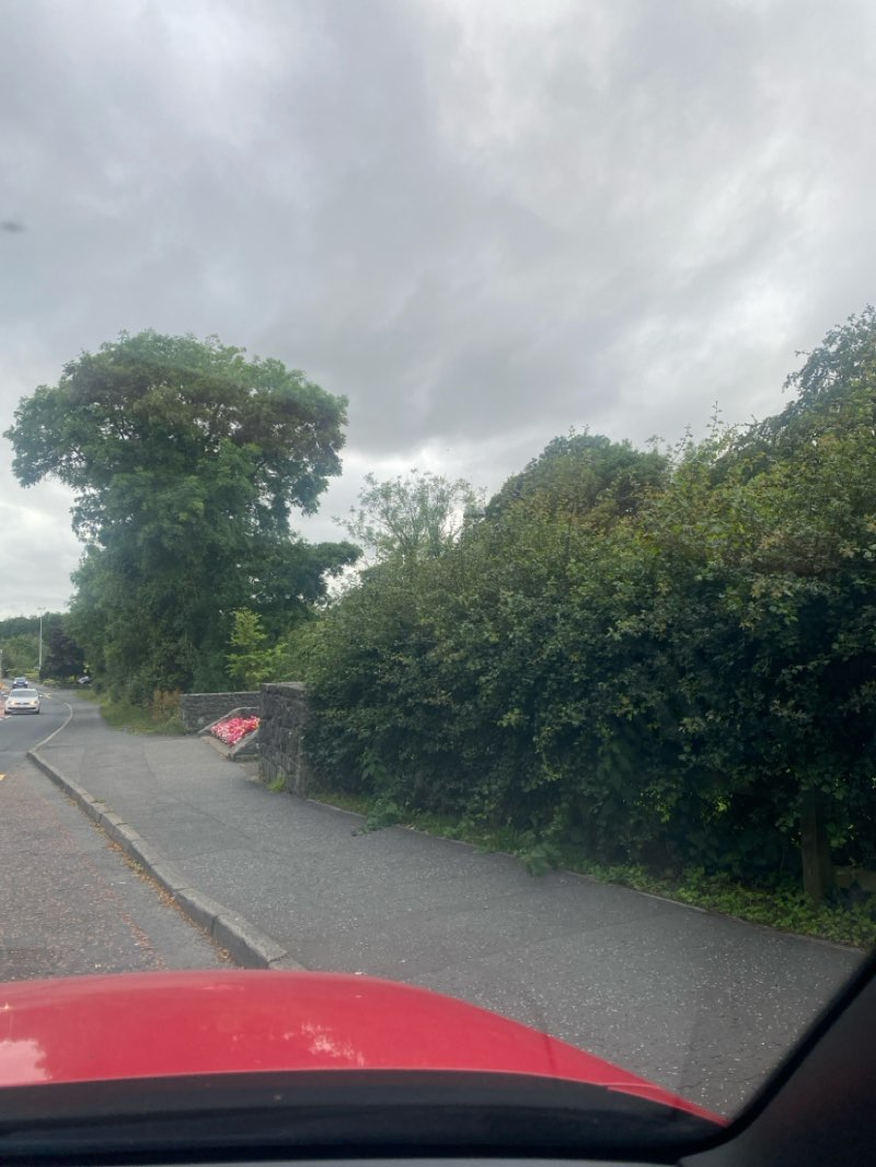 walking near me in Dromore Town Park in summer