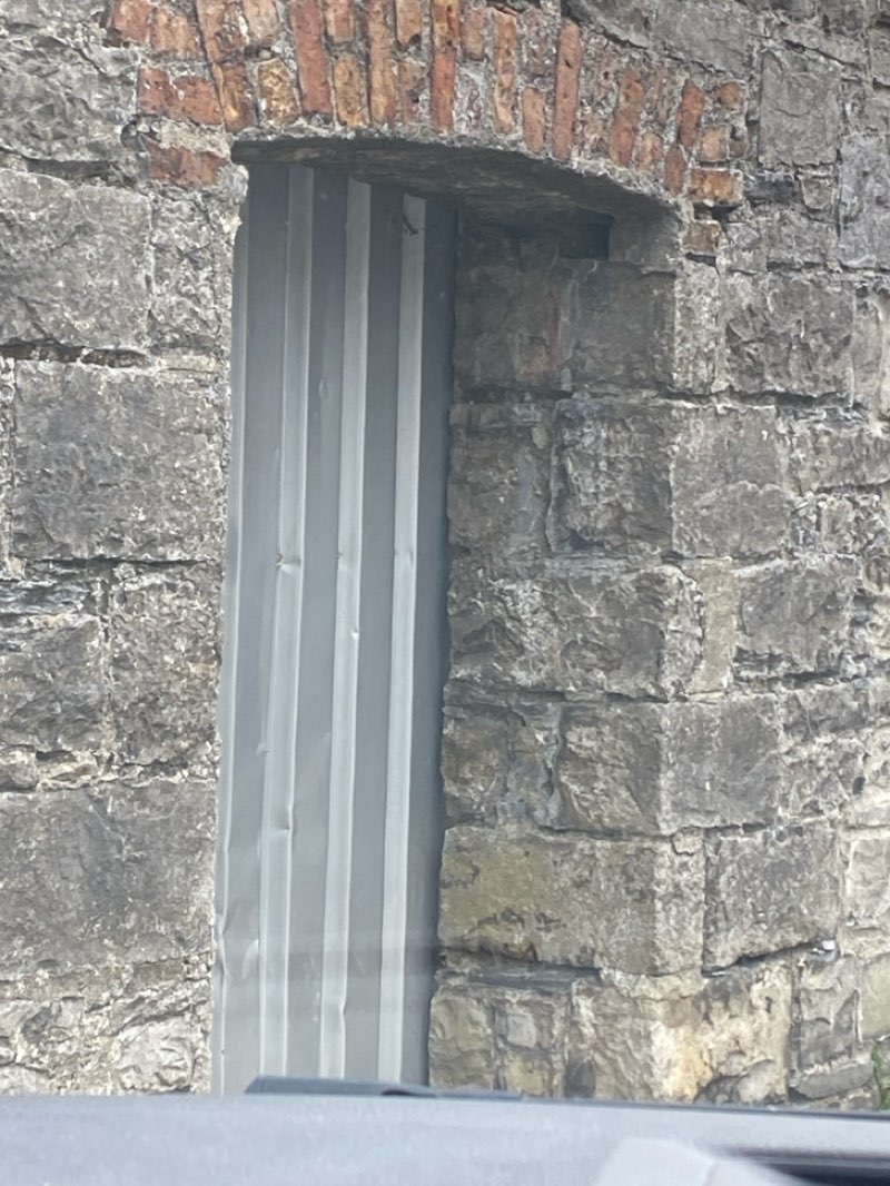 walking near me in Peace Park in autumn