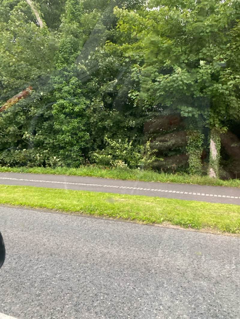 walking near me in Doorly Park in autumn