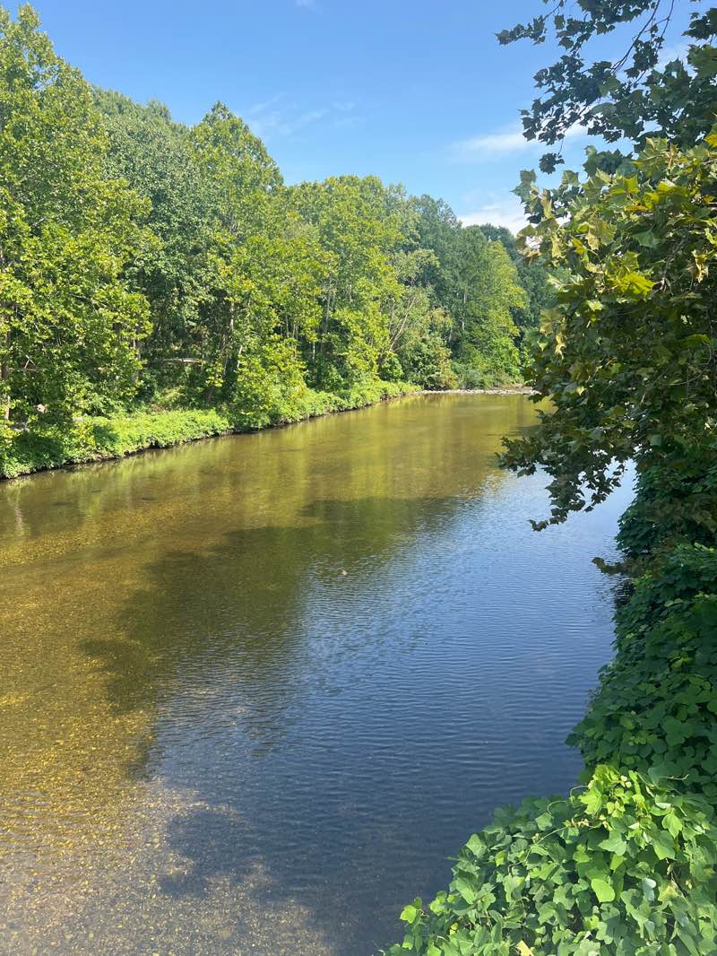 walking near me in James Marx All Veterans Park in summer