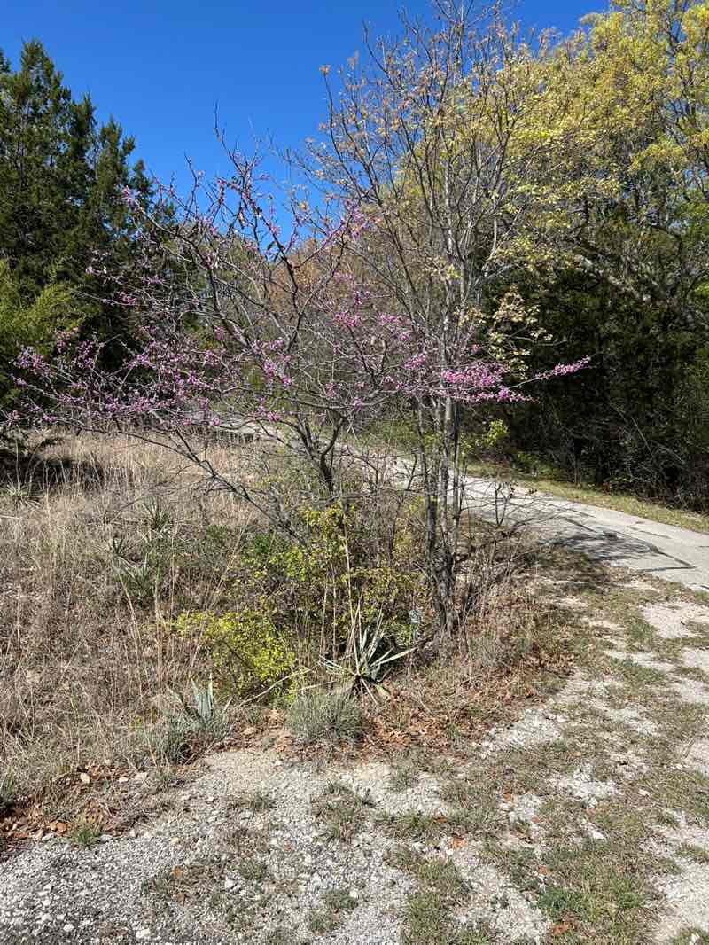 walking near me in Soldier Springs Park in spring