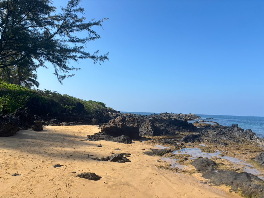 walking near me in Kamaole Park II in spring