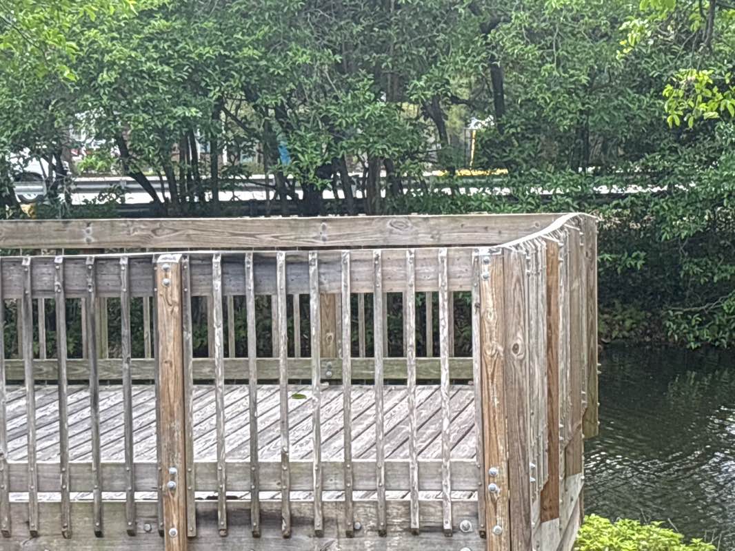 walking near me in Orange Drive Linear Park in spring