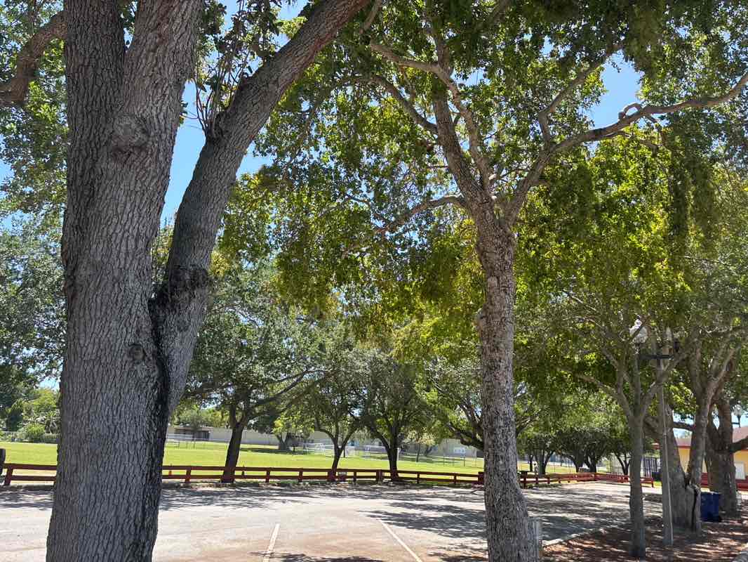 walking near me in Cutler Ridge Park in spring
