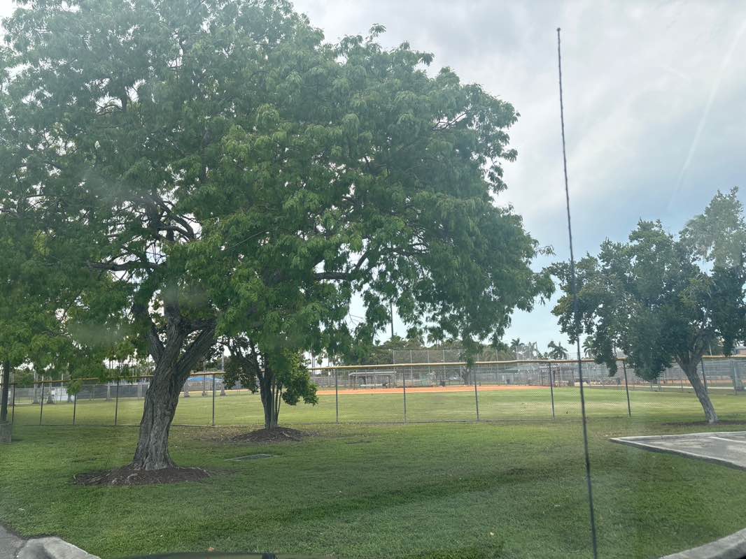 walking near me in Harris Field in spring