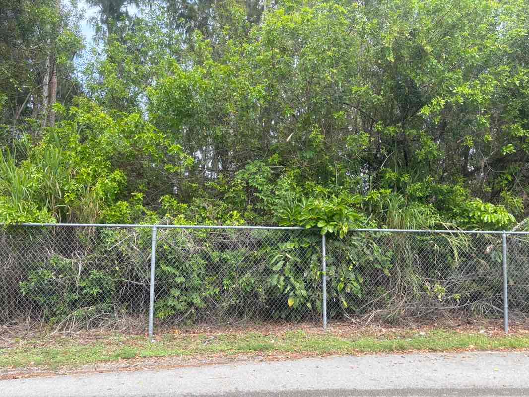 walking near me in Pine Island Lake Park in spring