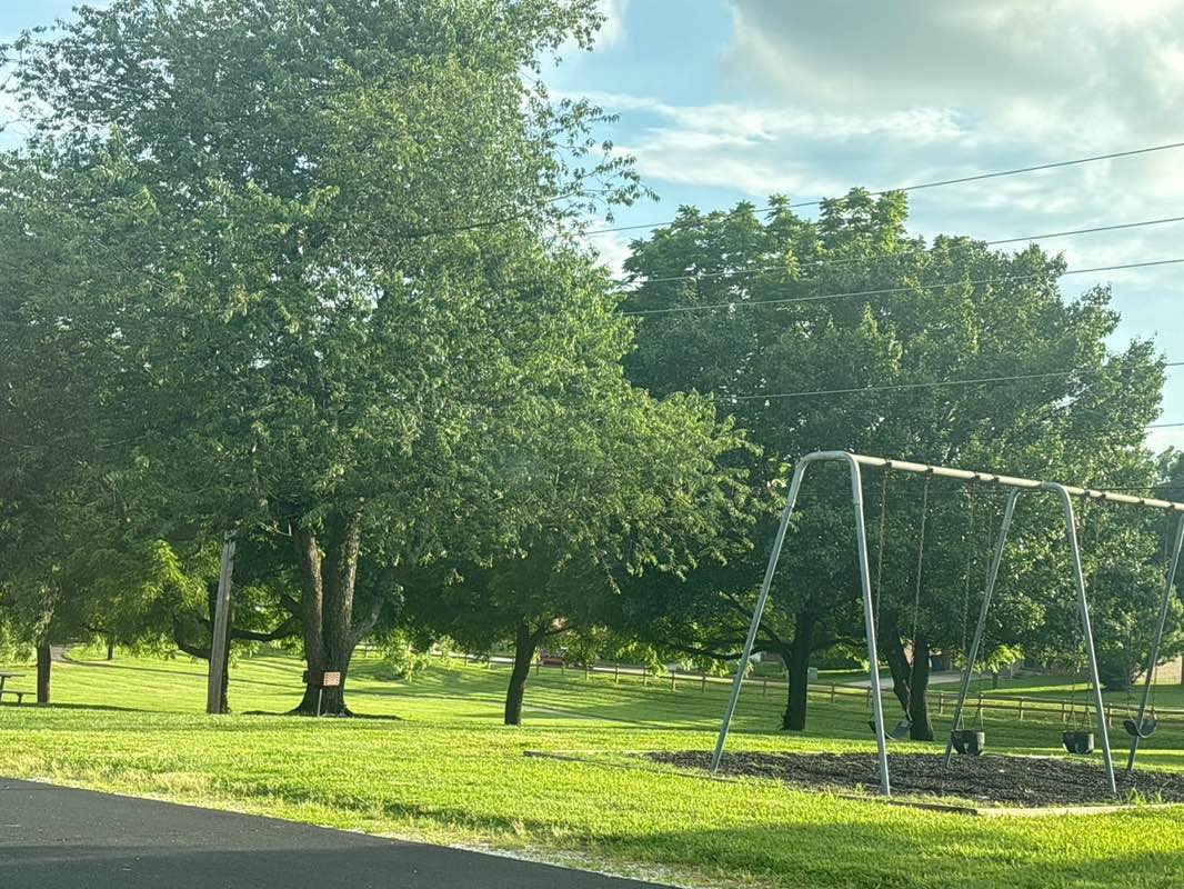 walking near me in Twelve Oaks Park in summer