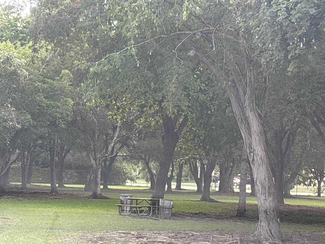 walking near me in Modello Wayside Park in winter