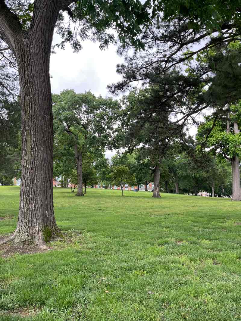 walking near me in Selmo Park in summer