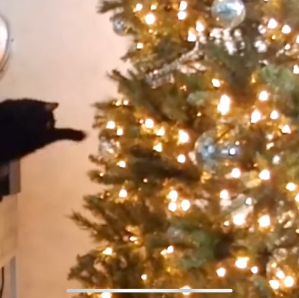 Nature Celts 3🌳🐝🦢🐎💐🌌🌟 Nature Celts 3🌳🐝🦢🐎💐🌌🌟 post image